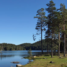 Shiroka Polyana dam, Pazardjik Region