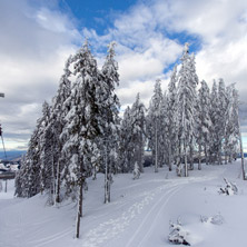 Pamporovo resort, winter landscape, Smolyan Region - Photos from Bulgaria, Resorts, Тourist Дestinations