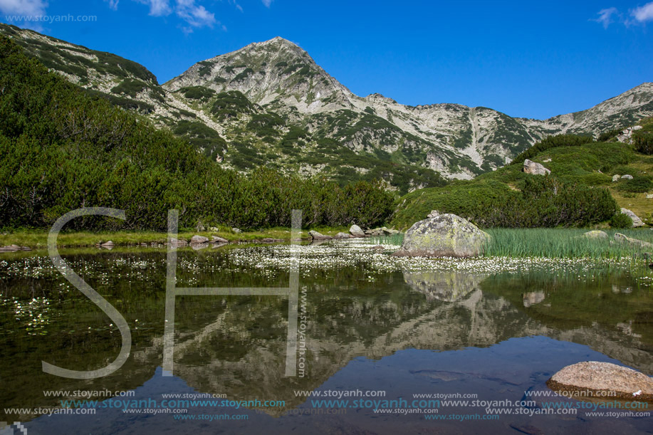 Hvoynati peak and its reflection in mountain lake, Pirin Mountain
