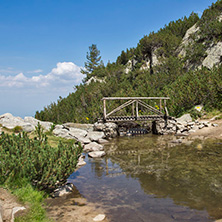 Пирин, Мост над Планинска Река близо до хижа Вихрен - Снимки от България, Курорти, Туристически Дестинации
