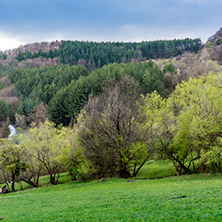 Стара Планина близо до село Заселе, София Област