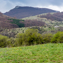 Стара Планина близо до село Заселе, София Област