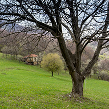 Stara Planina Mountain near Zasele Village, Sofia Region - Photos from Bulgaria, Resorts, Тourist Дestinations
